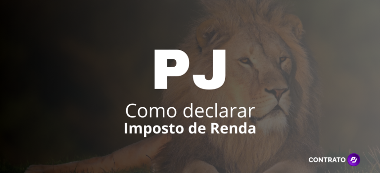 Profissional PJ: Como declarar Imposto de Renda? PJ - Como declarar Imposto de Renda (na pessoa física)