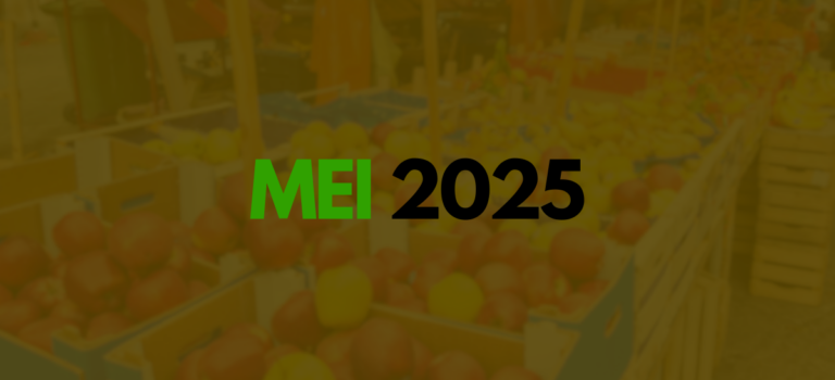 MEI 2025: sem grandes mudanças (apenas nota e contribuição) MEI 2025 - nota fiscal, contribuição, limite de faturamento e mudanças