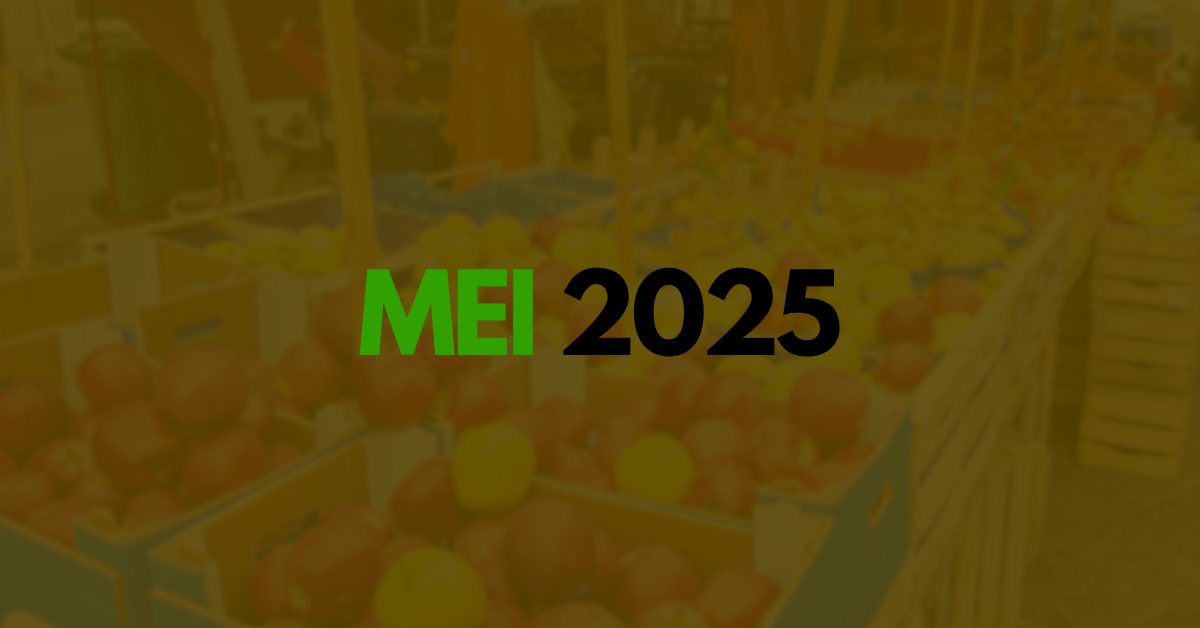 MEI 2025 - nota fiscal, contribuição, limite de faturamento e mudanças